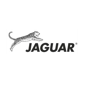 Браши Jaguar