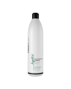 Шампунь безсульфатний зволожуючий для сухого волосся Profistyle Hydro Shampoo, 1000 мл